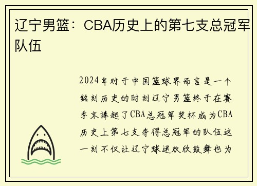 辽宁男篮：CBA历史上的第七支总冠军队伍