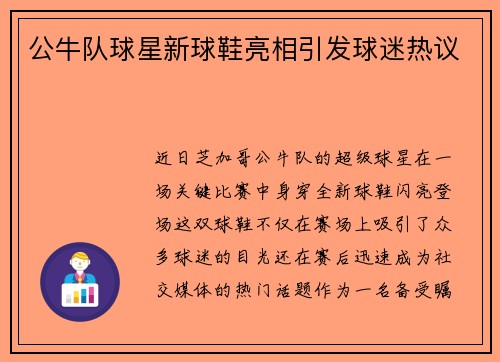 公牛队球星新球鞋亮相引发球迷热议