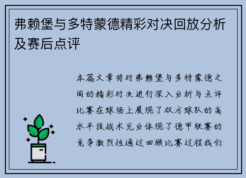 弗赖堡与多特蒙德精彩对决回放分析及赛后点评