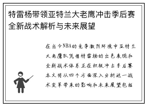 特雷杨带领亚特兰大老鹰冲击季后赛全新战术解析与未来展望