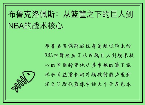 布鲁克洛佩斯：从篮筐之下的巨人到NBA的战术核心